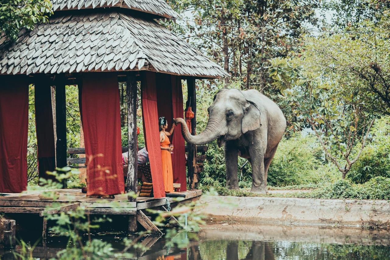 Chai Lai Orchid Chiang Mai Exterior foto